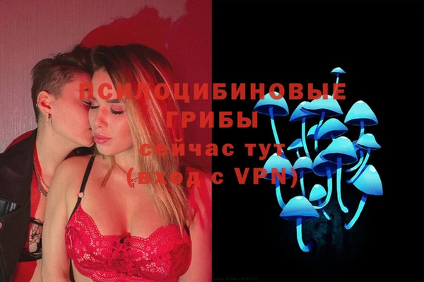 сатива Кукмор