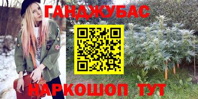шишки Жуковский