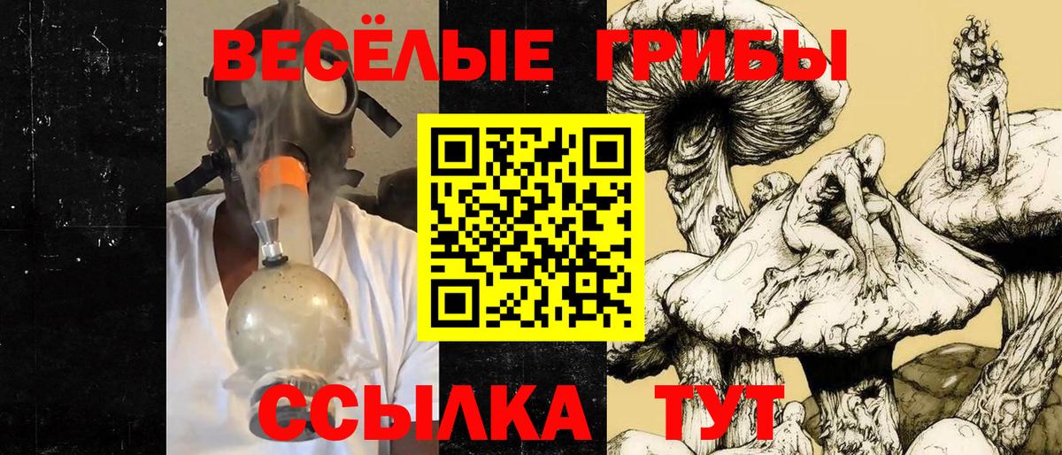Экстази  Ленинск-Кузнецкий  COCAIN  Вход с VPN  МАРИХУАНА  Мефедрон   Альфа ПВП СК   Гашиш 